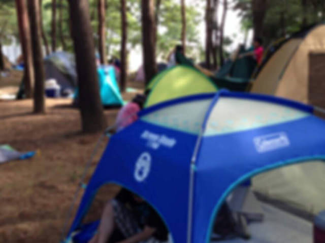 ロッキン会場内でテント設営するならあると便利な４つのおすすめアイテム！